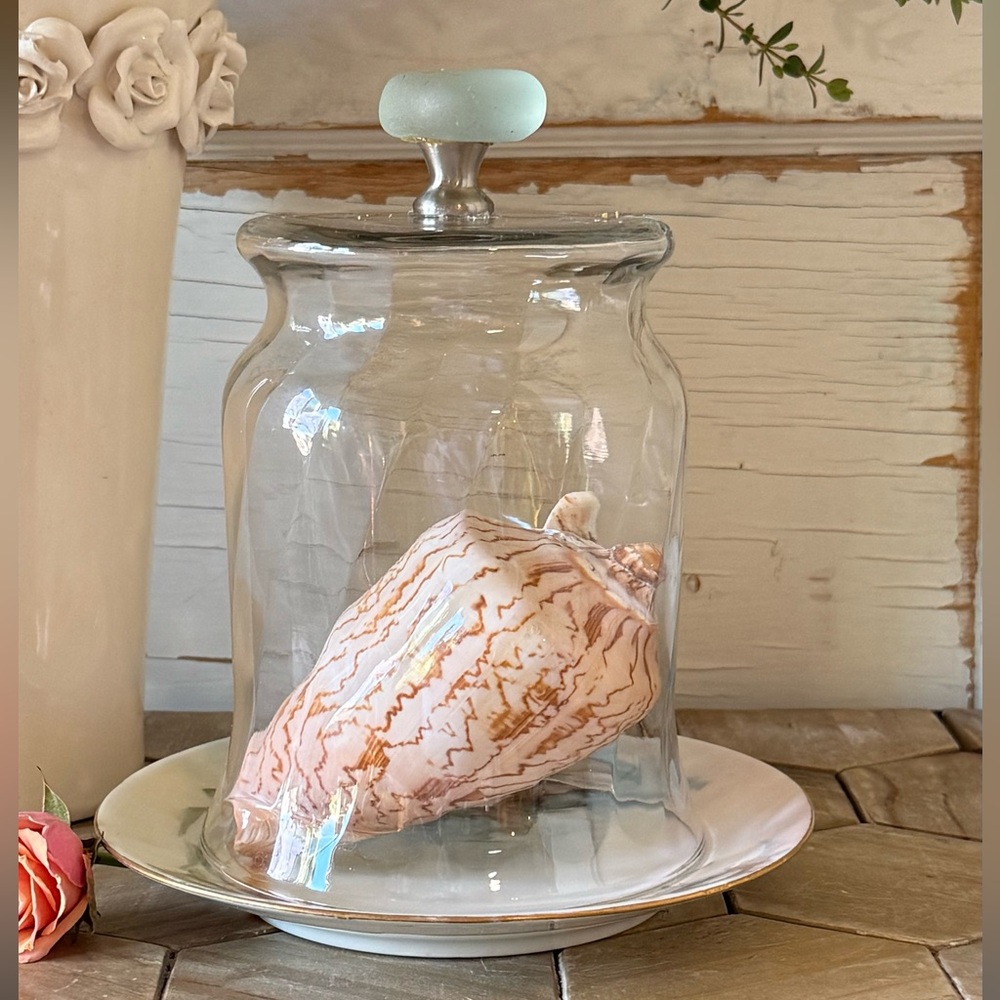 Coastal Seaglass Cloche w/ Antique Limoge Base, Hand Painted Snail & Seashells